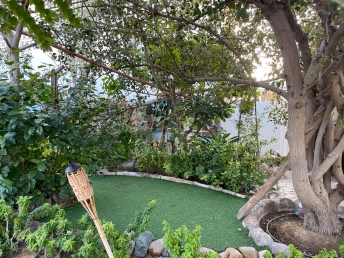 Alhosani Property Abu Dhabi Bagian luar foto