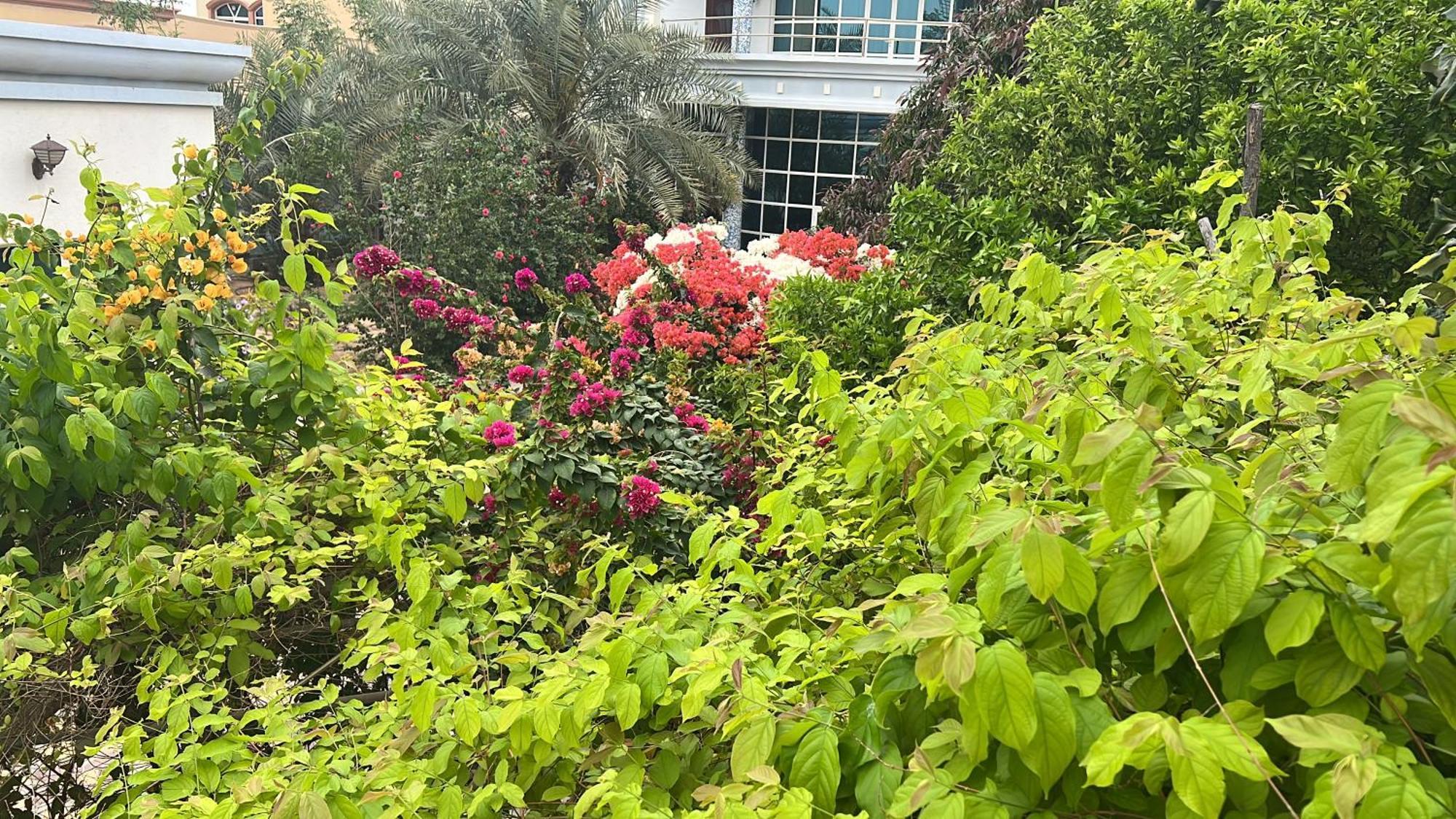Alhosani Property Abu Dhabi Bagian luar foto