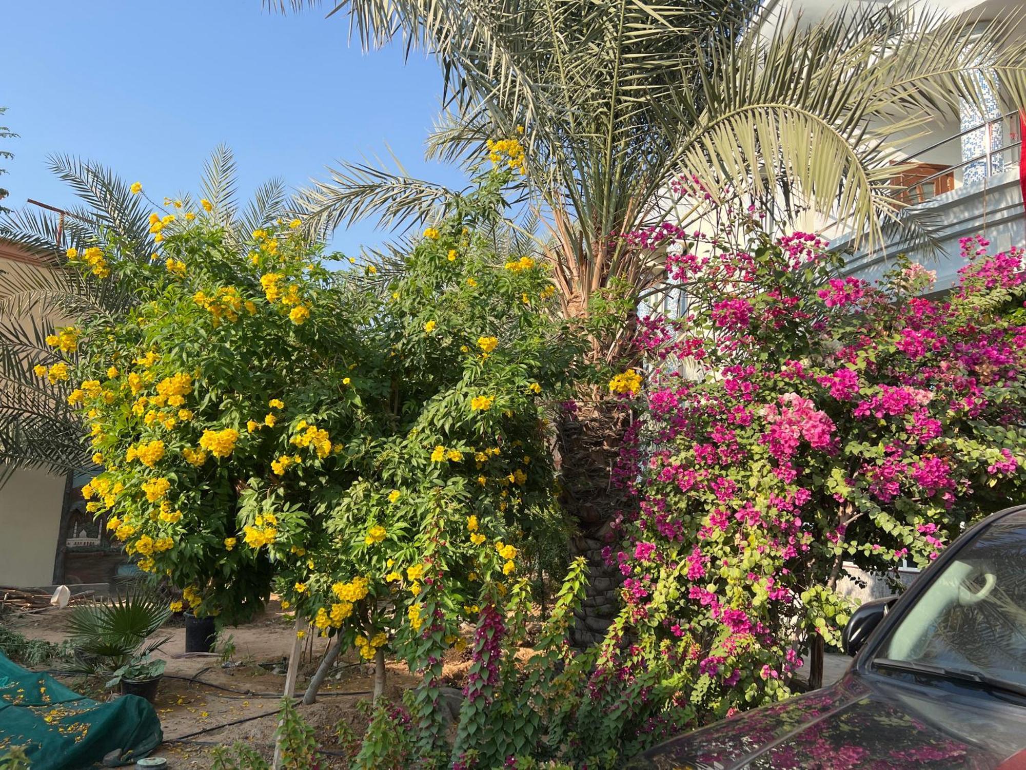 Alhosani Property Abu Dhabi Bagian luar foto